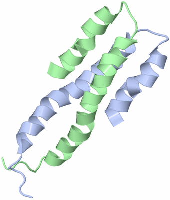 Image NMR Structure - model 1