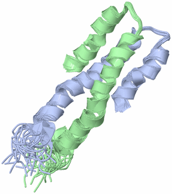 Image NMR Structure - all models