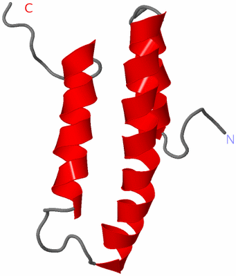 Image NMR Structure - model 1