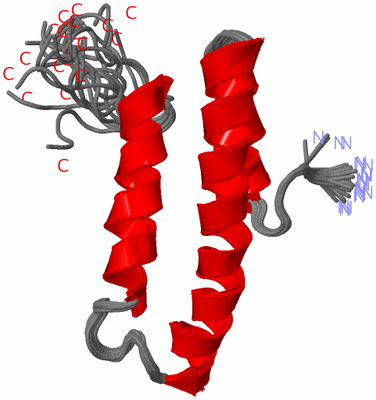 Image NMR Structure - all models