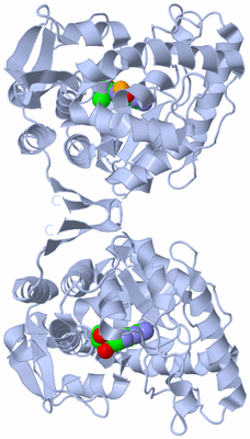 Image Biological Unit 1