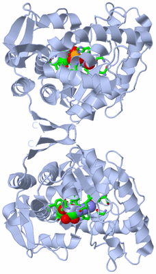 Image Biol. Unit 1 - sites