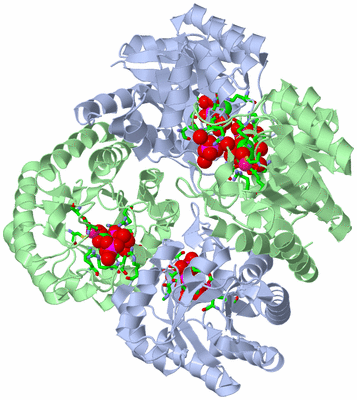 Image Biol. Unit 1 - sites