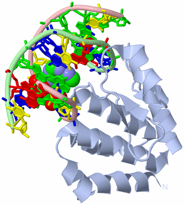 Image Biological Unit 1