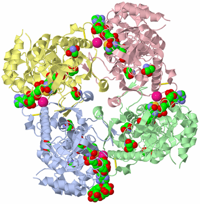 Image Asym./Biol. Unit