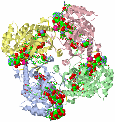 Image Asym./Biol. Unit - sites