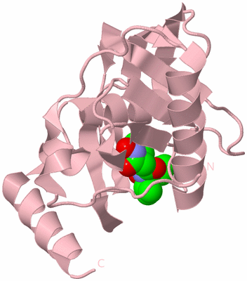 Image Biological Unit 3