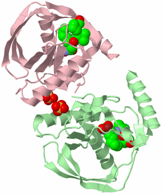 Image Biological Unit 4