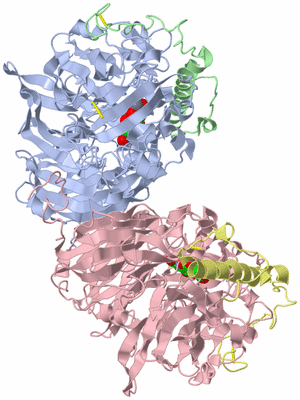 Image Asym./Biol. Unit