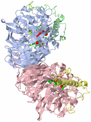 Image Asym./Biol. Unit - sites