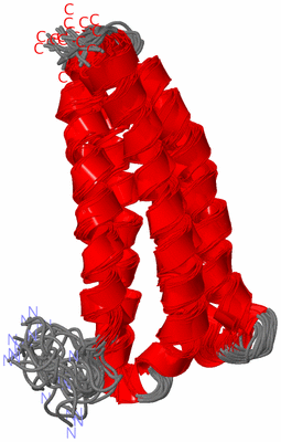 Image NMR Structure - all models