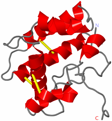 Image NMR Structure - model 1