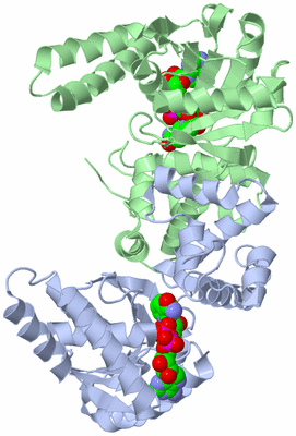 Image Asym./Biol. Unit