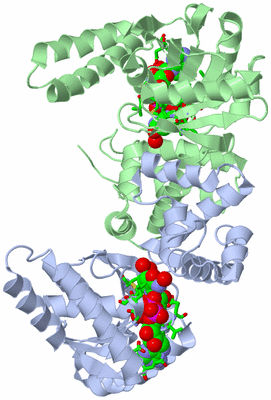 Image Asym./Biol. Unit - sites