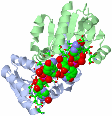 Image Biol. Unit 1 - sites