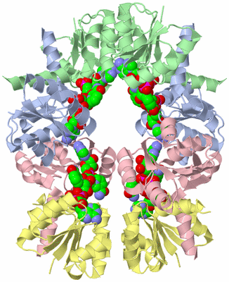 Image Biological Unit 3