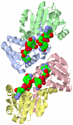 Image Biological Unit 4