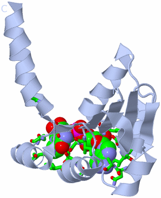 Image Biol. Unit 1 - sites