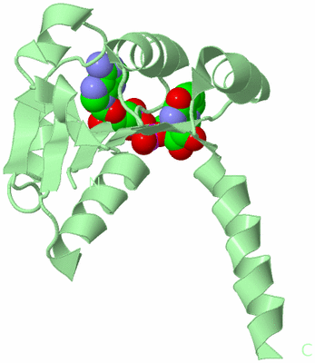 Image Biological Unit 2