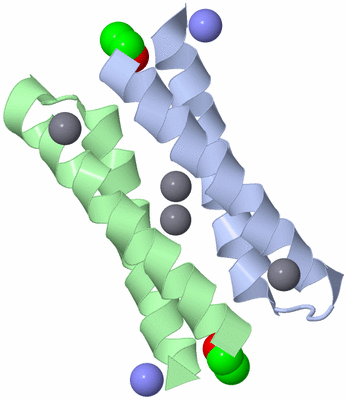 Image Biological Unit 1