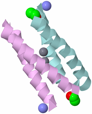 Image Biological Unit 3