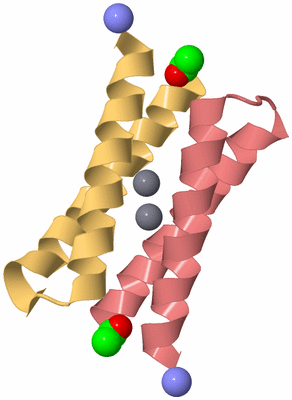 Image Biological Unit 4