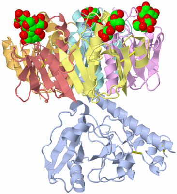 Image Asym./Biol. Unit