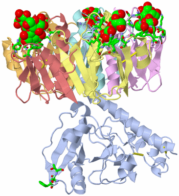 Image Asym./Biol. Unit - sites