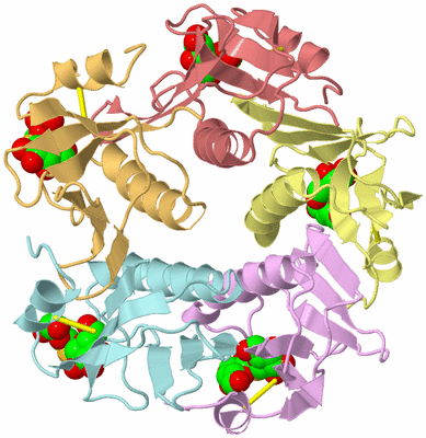 Image Asym./Biol. Unit