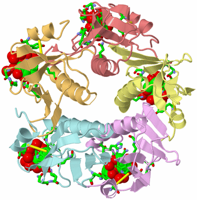 Image Asym./Biol. Unit - sites