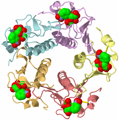 Image Biological Unit 1