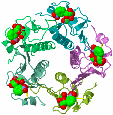 Image Biological Unit 2