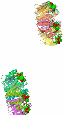 Image Asym. Unit - sites