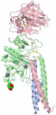 Image Biological Unit 1