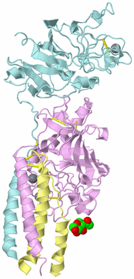 Image Biological Unit 2