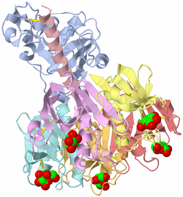 Image Asym./Biol. Unit