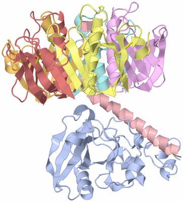 Image Asym./Biol. Unit