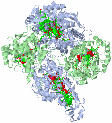 Image Biol. Unit 1 - sites