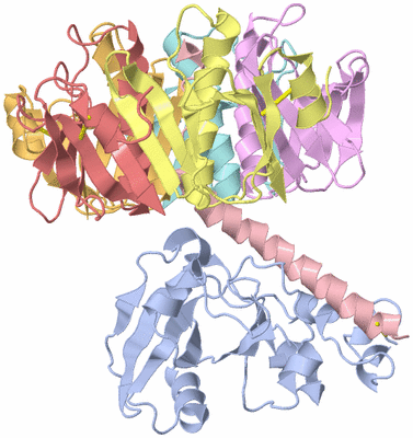 Image Asym./Biol. Unit