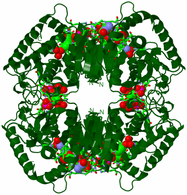 Image Biol. Unit 1 - sites