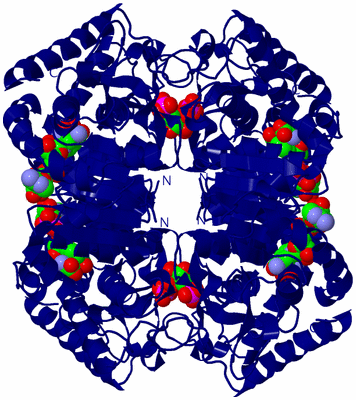 Image Biological Unit 2