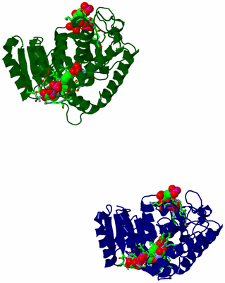 Image Asym. Unit - sites