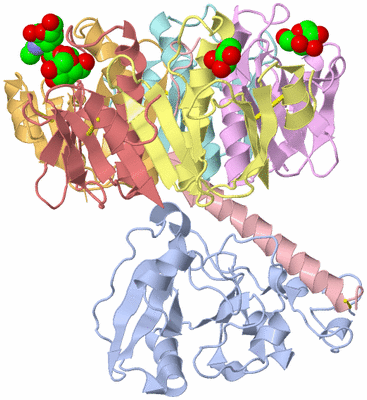 Image Asym./Biol. Unit