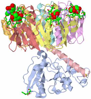 Image Asym./Biol. Unit - sites