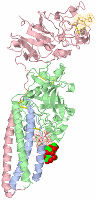 Image Biological Unit 1