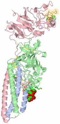 Image Biol. Unit 1 - sites