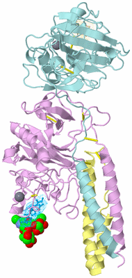 Image Biological Unit 2