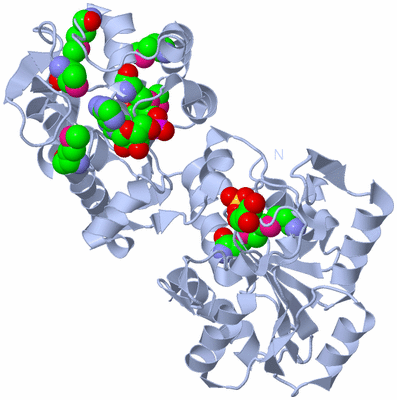 Image Biological Unit 1