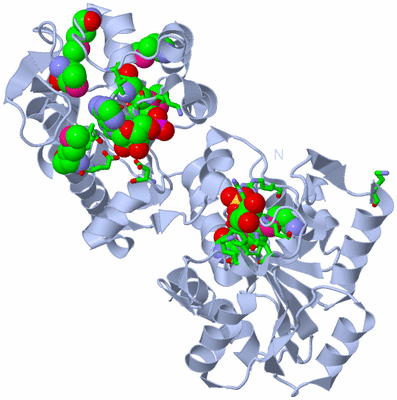 Image Biol. Unit 1 - sites