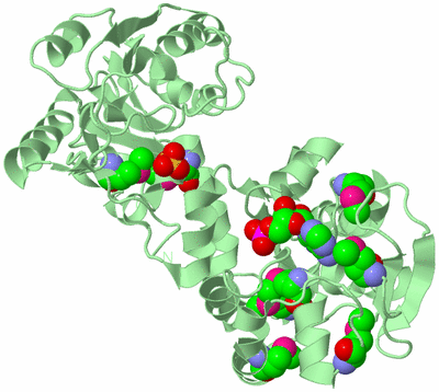 Image Biological Unit 2